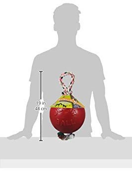 Romp-n-Roll Rope and Ball Dog Toy, 8 Inches/Large, Red (608 RD) (Red / Large (8 in))