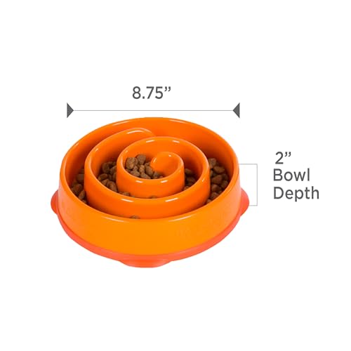 Fun Feeder Slo Bowl (Orange / Medium)
