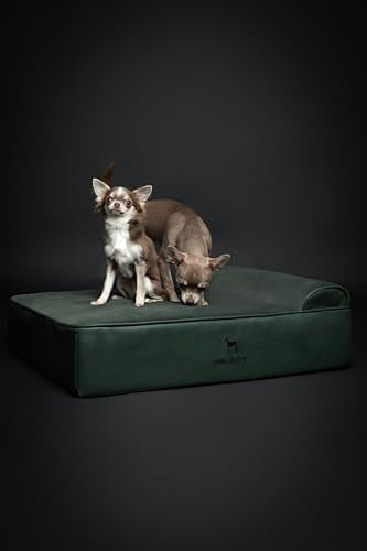 Dog Bed 28x23x7.5 Inch (Vegan Leather - Green / Medium)