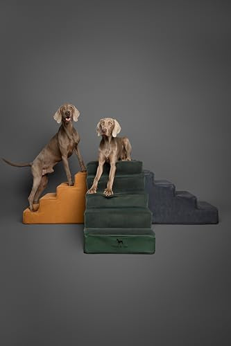 Dog Stairs Dog Ramp for Bed ((5 Step) Dark Green)