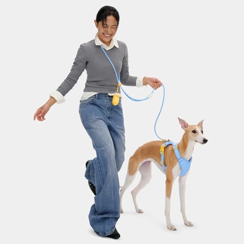 Crossbody Hands Free Dog Leash (Daisy Blue)