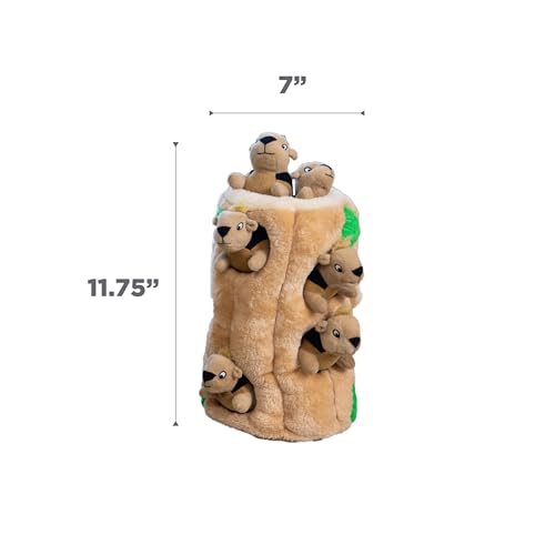 Hide-A-Squirrel Plush Squeaky Dog Toy, XL, 7" x 11.8" (Squirrel Xlarge / X Large (Pack of 1))