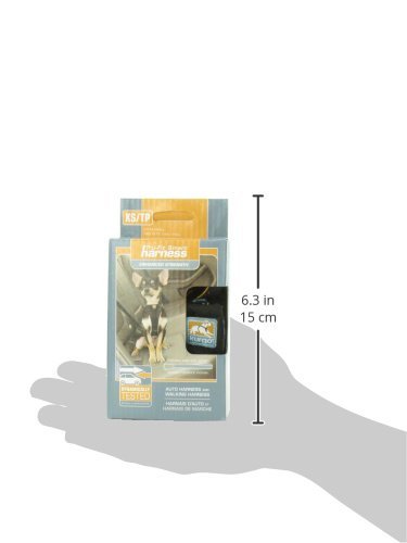 Enhanced Strength Tru (Black / X-Small)