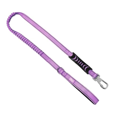 Bungee Dog Leash (Purple / Regular)