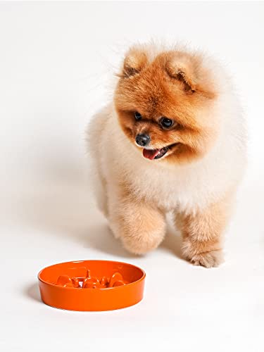 Ceramic Slow Feeder Dog Bowls Small Breed (Sun Orange / S-0.6 Cups)