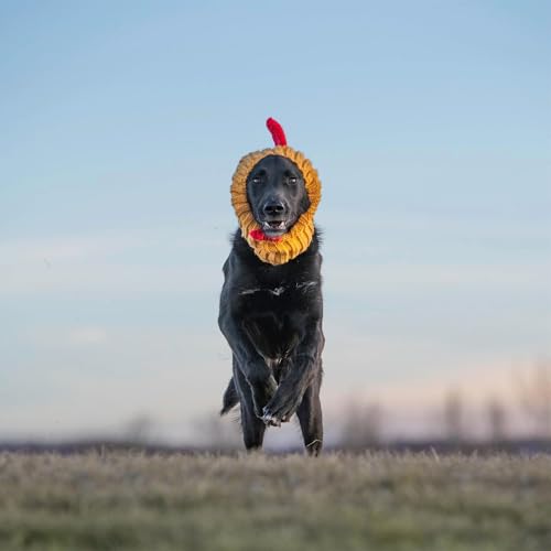 Rooster Costume (Yellow / Large)