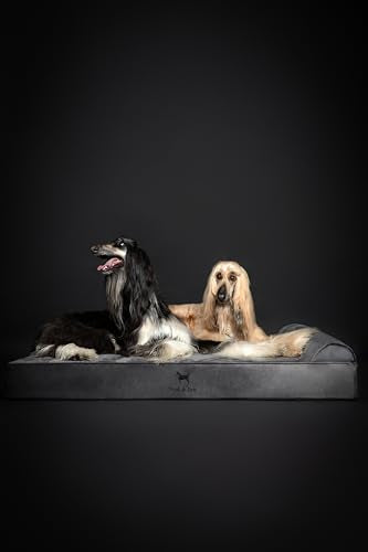 Giant Dog Bed XXL 55x45x9.5 Inch (Velvet - Dark Green / XX-Large)