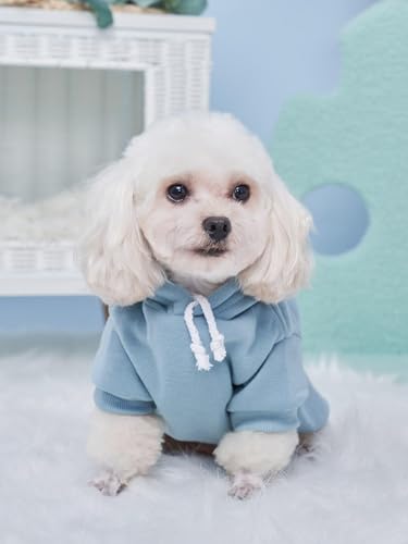 Basic Dog Hoodie Sweatshirt Puppy Sweater Warm Cat Costumes Pet Clothes for Chihuahua Puppy Kitten Small Medium Dogs Pink and Green Small (Small / Pink and Green)