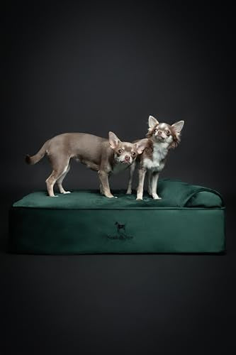 Dog Bed 28x23x7.5 Inch (Velvet - Dark Green / Medium)