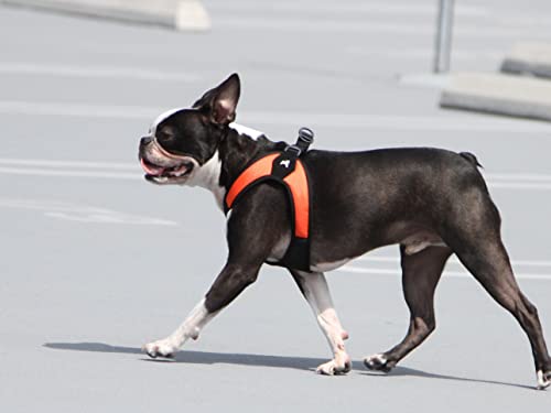 Escape Free Easy Fit Dog Harness (X-Small chest (15~17.25") / Orange)