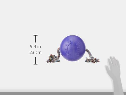 Romp-N-Roll Rope & Ball Dog Toy, 8 in Large, Purple (Purple / Large (8 in))
