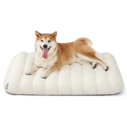 Cute Orthopedic Dog Bed Medium Size Dog (30"L x 20"W x 4"Th / Cream)