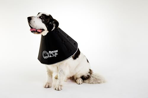 Comfy Cone Pet Cone for Dogs (Black / XXL(Neck to Nose 14.5"))