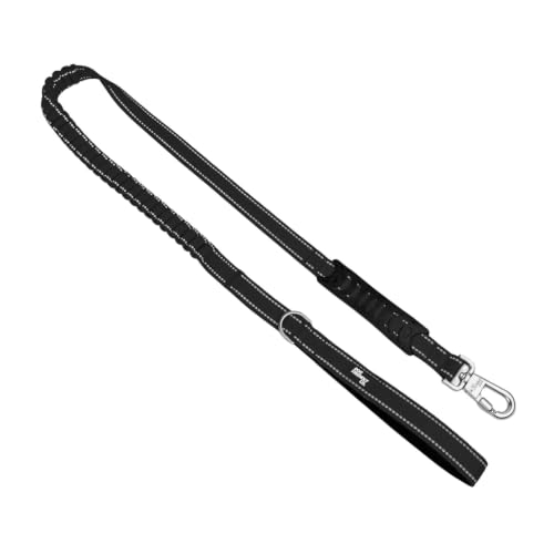 Bungee Dog Leash (Black / Regular)