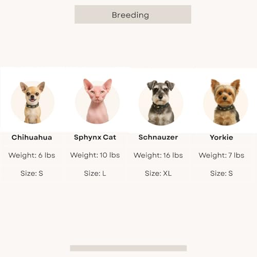 Luxury Pet Dress Shirt for Dogs & Cats (XX-Large 18.8–24.3 lbs)