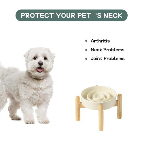 Elevated Slow Feeder Dog Bowls (Light Yellow)