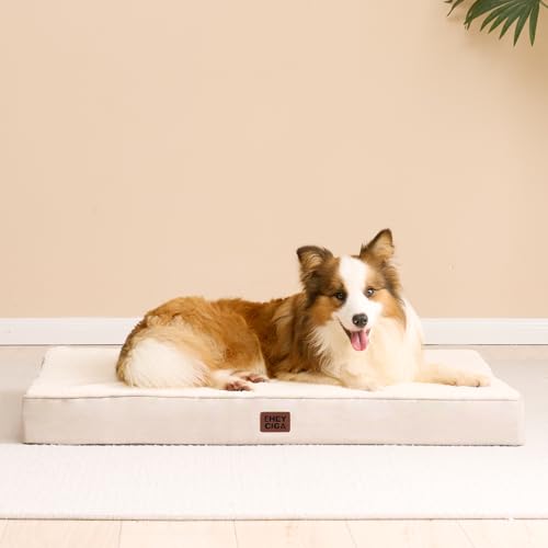Orthopedic Dog Bed Large with Removable Washable Cover (36*27*3.5 inches / Camel)