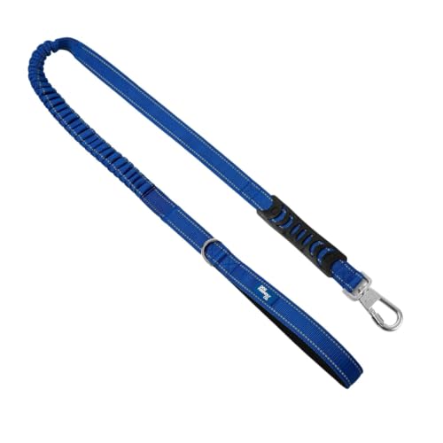 Bungee Dog Leash (Classic Blue / Regular)
