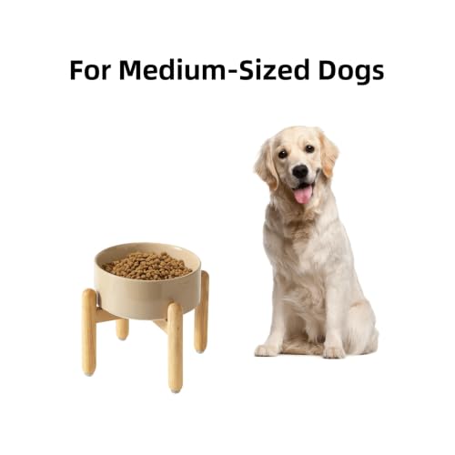 Ceramic Dog Bowls Elevated (Greige)