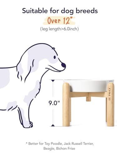 Ceramic Slow Feeder Dog Bowls Elevated (Angle White+Stand / L-3 Cups)