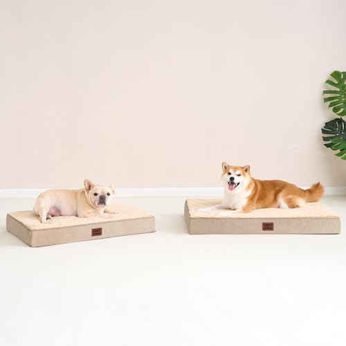 Orthopedic Dog Bed Large with Removable Washable Cover (44*32*3.5 inches / khaki)