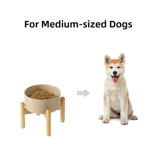 Ceramic Dog Bowls Elevated (Greige)