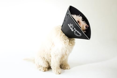 Comfy Cone Pet Cone for Dogs (Black / XL(Neck to Nose 12"))