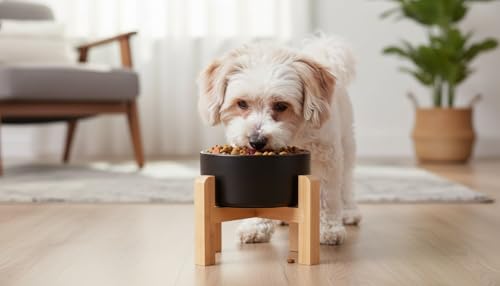 Elevated Raised Ceramic Dog Bowl with Bamboo Stand (Black / Large)