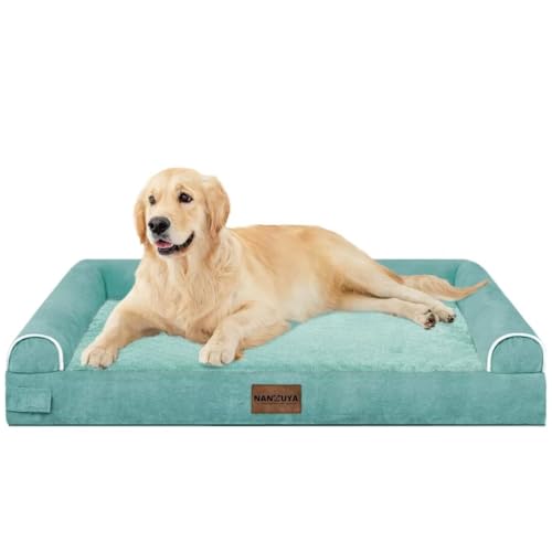 Orthopedic Dog Bed for Large Dogs (Aqua Blue / 36.0"L x 27.0"W x 6.5"Th)