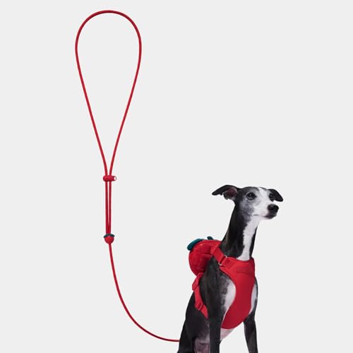 Crossbody Hands Free Dog Leash (Strawberry Red)