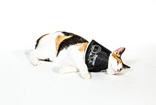 Comfy Cone Pet Cone for Dogs (Black / S(Neck to Nose 5.5"))