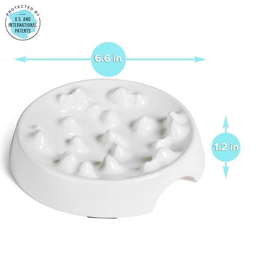Whisker Friendly Slow Feeder Cat Bowl for Healthy Digestion (Slow Feeder / Marshmallow)