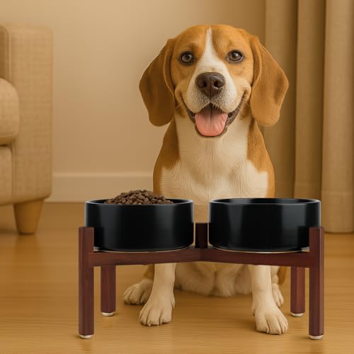 Raised Ceramic Dog Bowls Set with Non (42.27 Oz / Black)