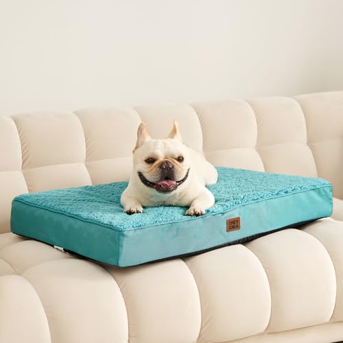 Orthopedic Dog Bed Medium with Removable Washable Cover (30*20*3.5 inches / Turquoise Blue)