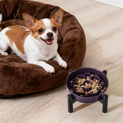 Elevated Slow Feeder Dog Bowl (Purple / S(1 Bowl with Stainless Steel Stand))