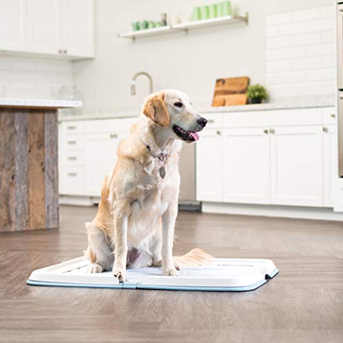 Pee Pad Holder (Blue / 28" x 34")