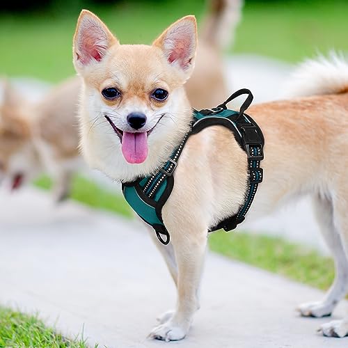 Dog Harness No Pull for Small Dogs with 2 Leash Clips (X-Small / Blue Coral)