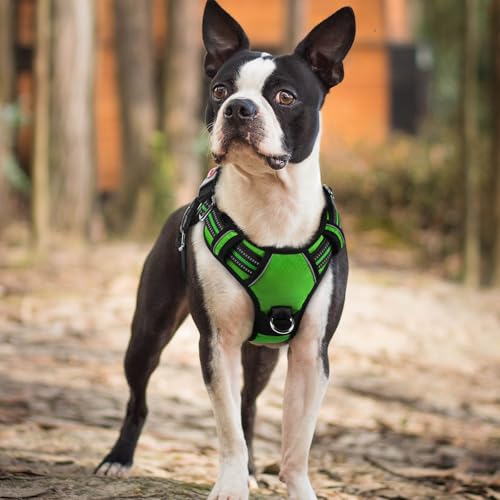 Dog Harness Small Sized (Green / Small)