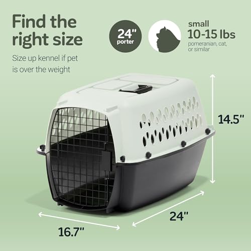 Pet Porter Fashion Dog Kennel (24.1"L x 16.7"W x 14.5"H / Aqua Blue/Black)