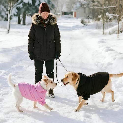 Dog Basic Hoodie Soft Dog Clothes Cold Weather Sweaters for Medium Large Dogs Cozy Fabric Warm Sweatshirt with Leash Hole for Boys (Grey / XL (Back: 24.8",Chest: 33.86", 35-55lbs))