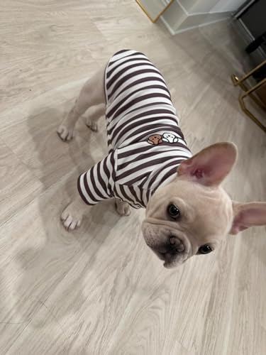 Turtleneck Dog Shirt Cute Doggie Embroidery Super Soft Dog Sweatshirt Stretchy Striped Puppy Pullover for Cats Small Medium Large Dogs (Brown Striped / Small)