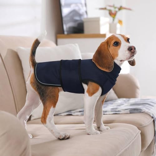 Dog Anxiety Vest with Hoodie (X-Large / Navy Blue)