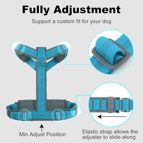 No Pull Dog Harness (XL / Cyan)