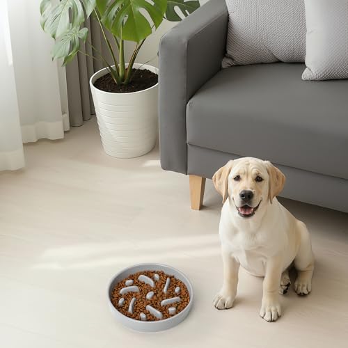 Ceramic Slow Feeder Dog Bowl (Maze - Grey / 2 Cups)