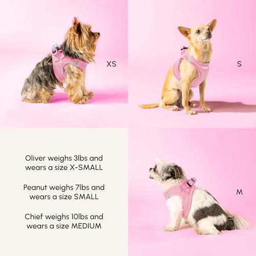 Step in Dog Harness for Small Dogs (X-Small / Baby Pink)