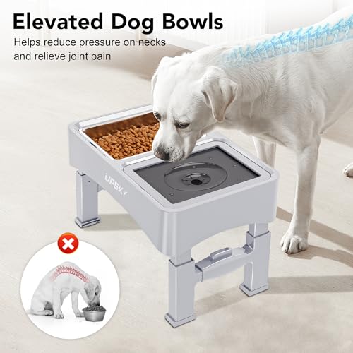 3-in-1 Elevated Dog Bowls Set with 4 Height Adjustable Stand, White (E-3-in-1 (White))