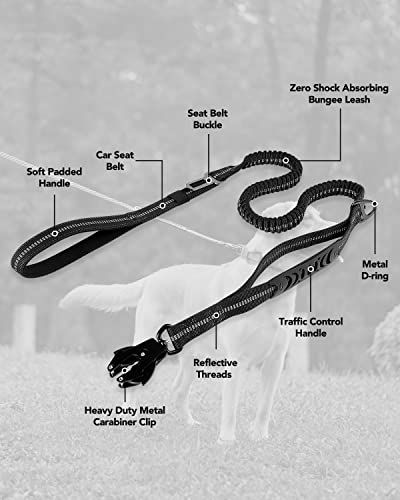 Tactical Bungee Dog Leash (Black)