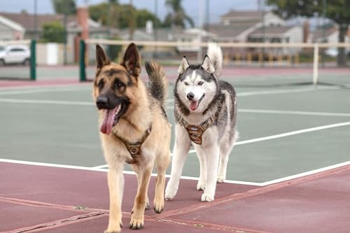 Dog Harness for Large Dogs (Black / L(Neck:18-29",Chest:24-37"),45-80 lbs)
