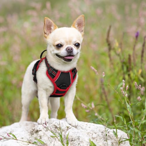 Dog Harness No Pull for Small Dogs with 2 Leash Clips (X-Small / Black & Red)