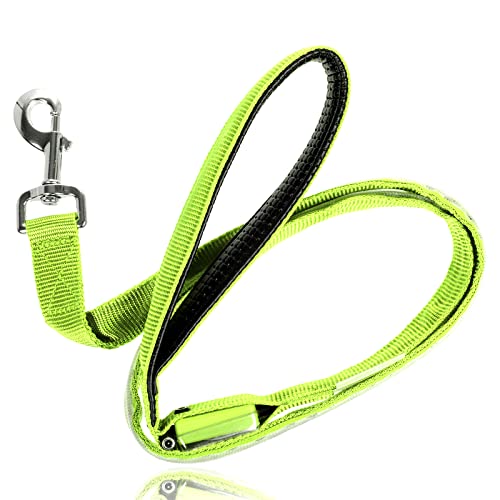 LED Light Up Dog Leash (6 Feet / Neon Green)